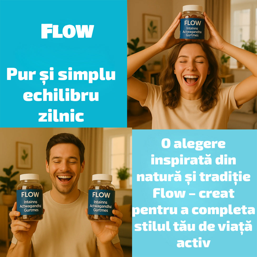 Flow®️ – Ursuleți cu Ashwagandha