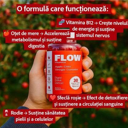 Flow - Oțet de Mere Sub Formă De Ursuleți Gumați